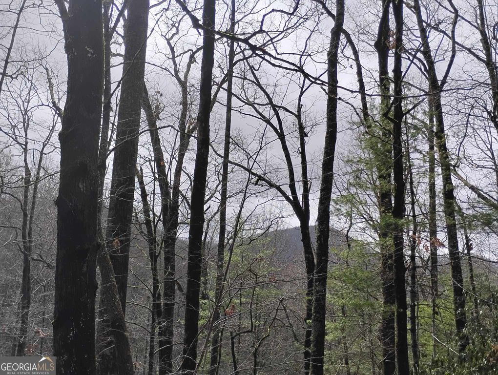 0 LOT 289 Cobblewood Trail, Sky Valley, GA 30537