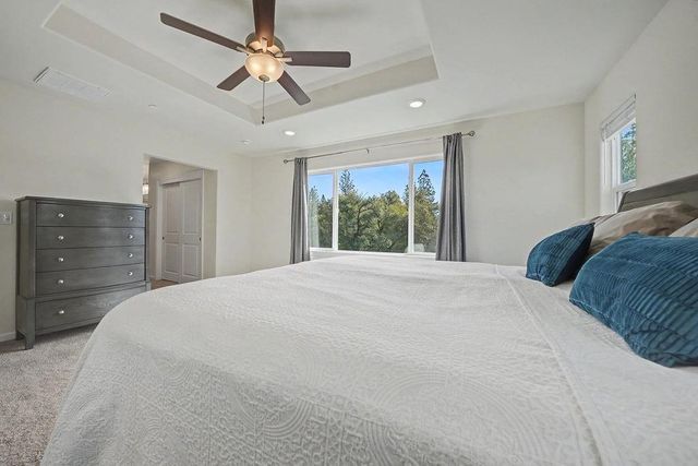 13871 Petersen Ranch Dr, Pine Grove, CA 95665