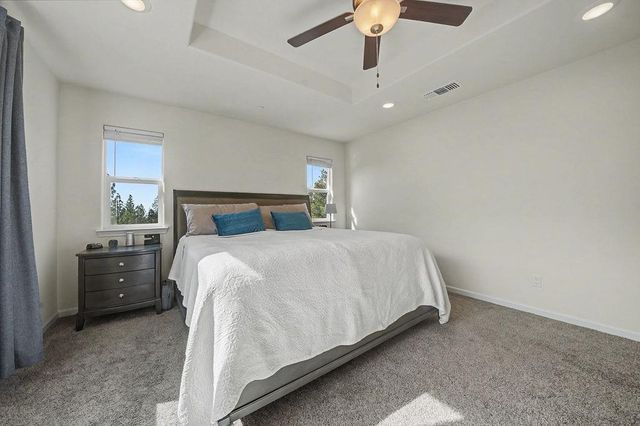 13871 Petersen Ranch Dr, Pine Grove, CA 95665