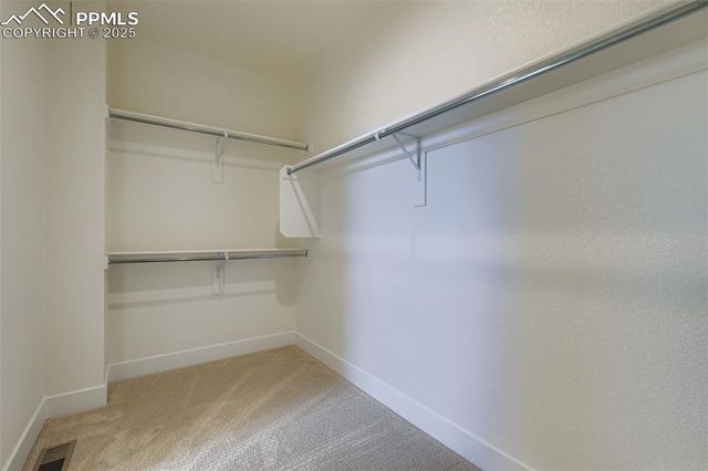 6653 Cornelius Point, Colorado Springs, CO 80923