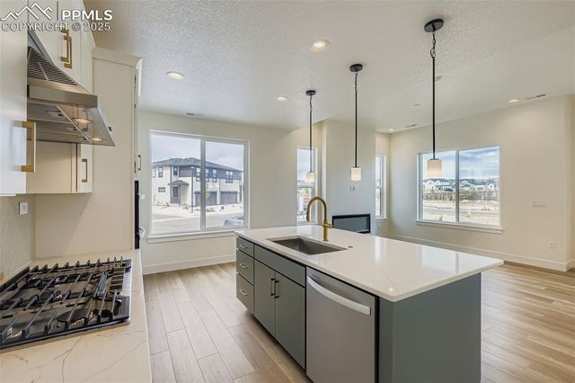 6653 Cornelius Point, Colorado Springs, CO 80923