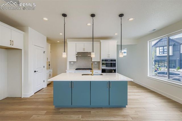 6653 Cornelius Point, Colorado Springs, CO 80923