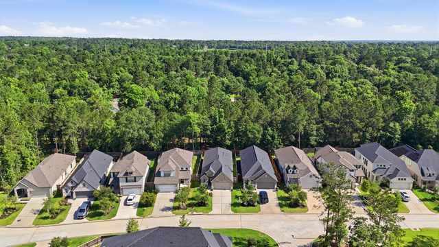 388 Rise Lane, Montgomery, TX 77316