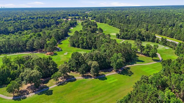 388 Rise Lane, Montgomery, TX 77316