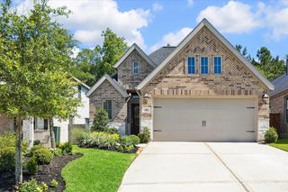 388 Rise Lane, Montgomery, TX 77316