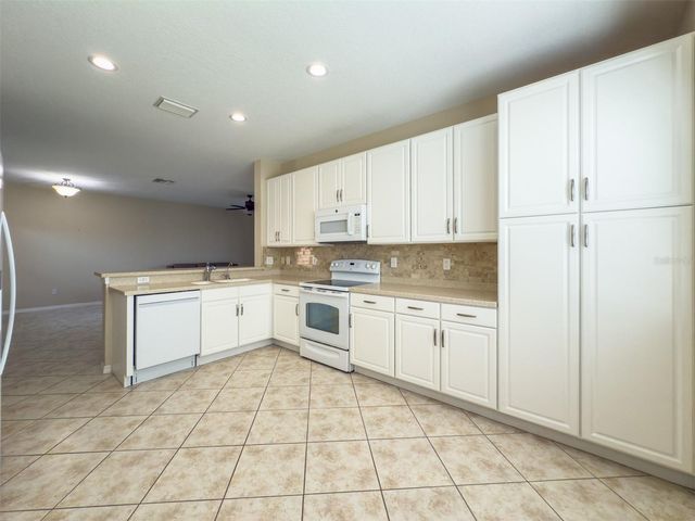 16233 AMETHYST KEY DRIVE, Wimauma, FL 33598