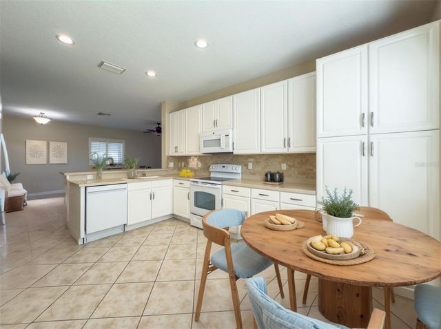 16233 AMETHYST KEY DRIVE, Wimauma, FL 33598