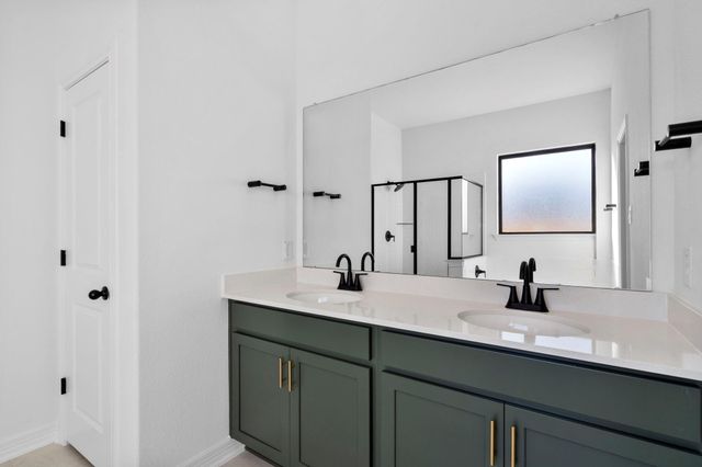 21918 Pecan Buff Drive, Waller, TX 77484