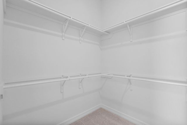 21918 Pecan Buff Drive, Waller, TX 77484