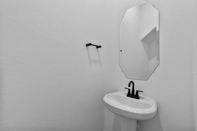 21918 Pecan Buff Drive, Waller, TX 77484