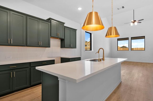 21918 Pecan Buff Drive, Waller, TX 77484