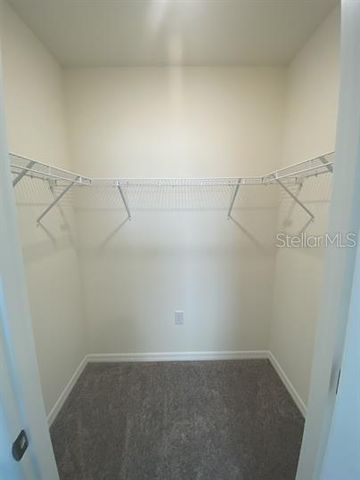 2906 SUNCOAST PLAINS DRIVE, Odessa, FL 33556