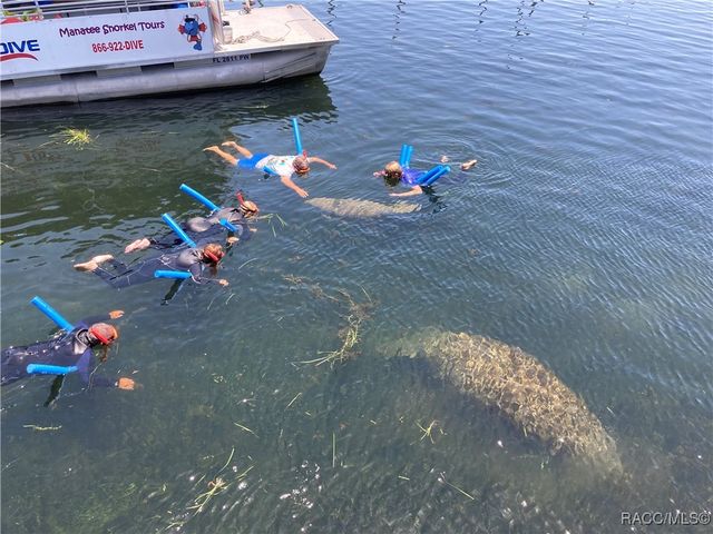 5991 W Bromley Circle, Crystal River, FL 34429