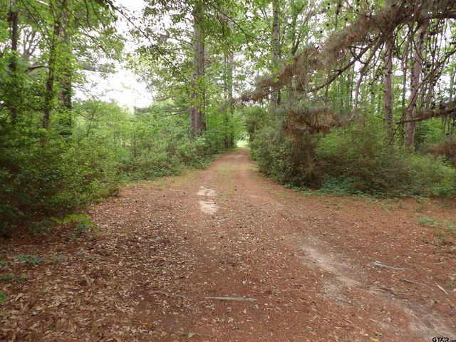 7538 N FM 2022, Grapeland, TX 75844