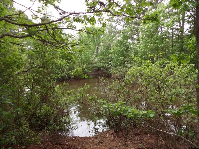 7538 N FM 2022, Grapeland, TX 75844