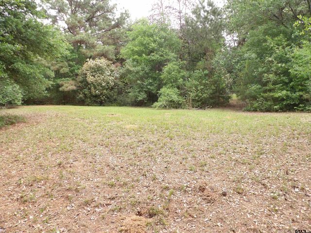 7538 N FM 2022, Grapeland, TX 75844