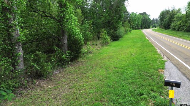 7538 N FM 2022, Grapeland, TX 75844