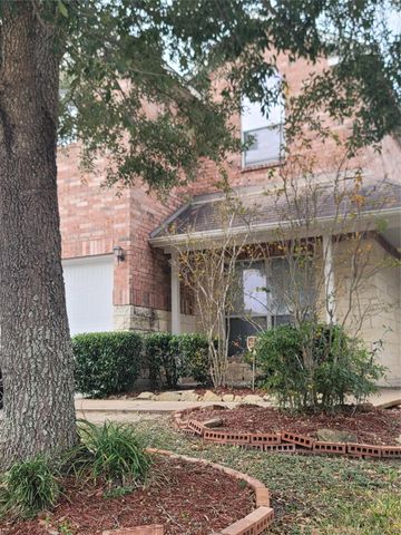 14510 Brunswick Place Drive, Houston, TX 77047