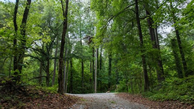 5997 Skylar Drive, Atlanta, GA 30336