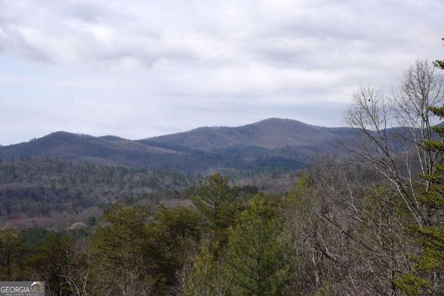 365 Aska Forest Trail, Blue Ridge, GA 30513