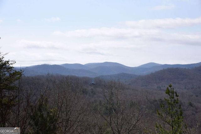 365 Aska Forest Trail, Blue Ridge, GA 30513
