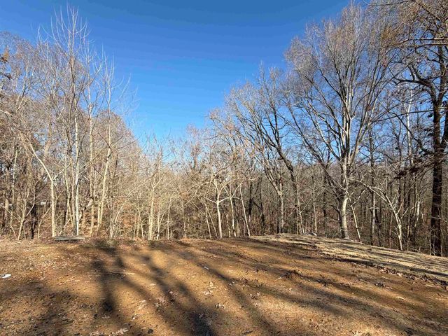 284 DOUBLE BRIDGES RD, Munford, TN 38058