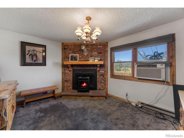 678 Palisade Mountain Drive, Drake, CO 80515