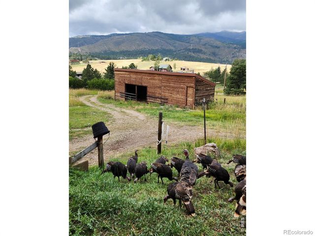 678 Palisade Mountain Drive, Drake, CO 80515
