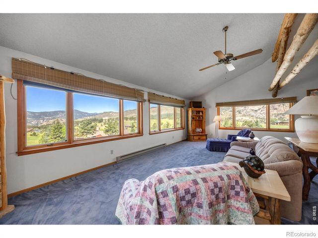 678 Palisade Mountain Drive, Drake, CO 80515
