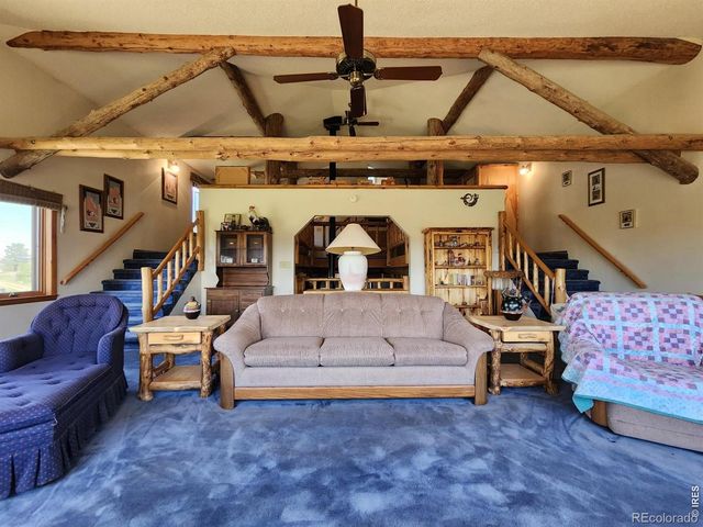 678 Palisade Mountain Drive, Drake, CO 80515