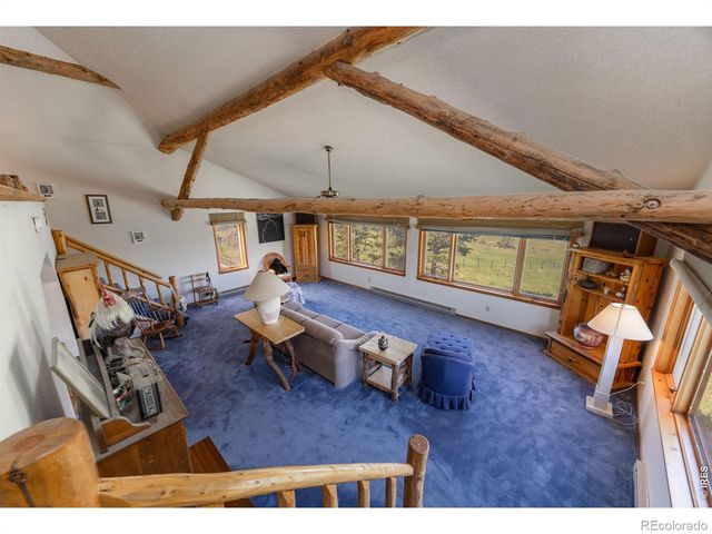 678 Palisade Mountain Drive, Drake, CO 80515