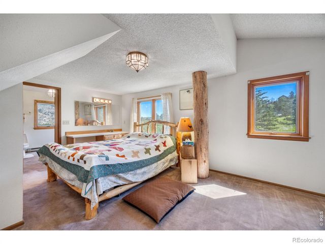 678 Palisade Mountain Drive, Drake, CO 80515