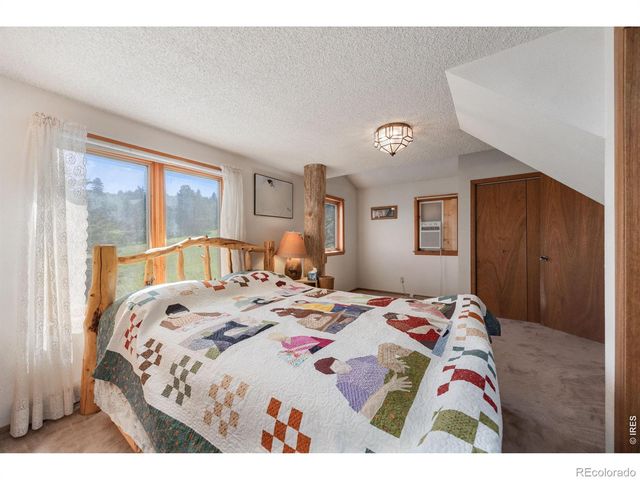 678 Palisade Mountain Drive, Drake, CO 80515