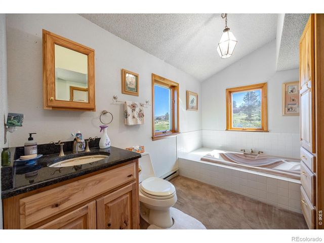 678 Palisade Mountain Drive, Drake, CO 80515