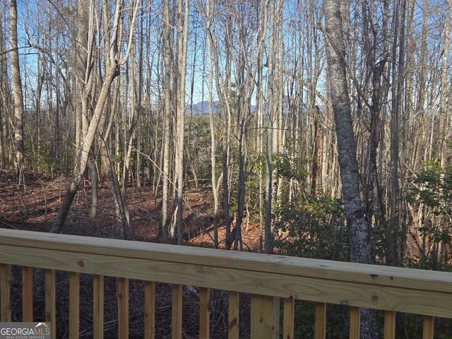 2994 Cannon Bridge Road, Demorest, GA 30535