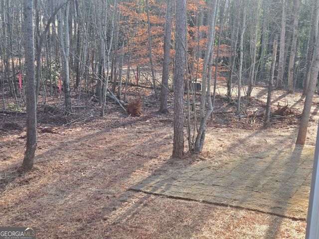 2994 Cannon Bridge Road, Demorest, GA 30535