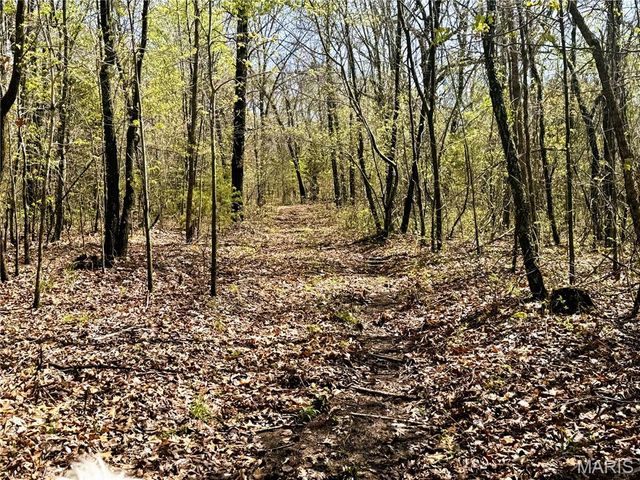 12725 Highway 17, Crocker, MO 65452