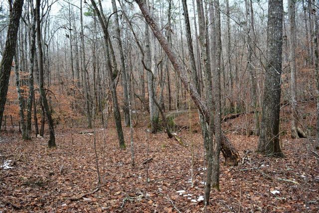 0 Willow Springs Road, Dallas, GA 30132