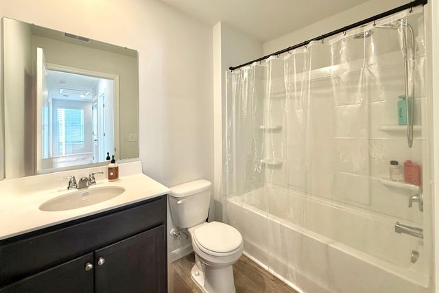 117 Sweet Cherry Lane, Summerville, SC 29486