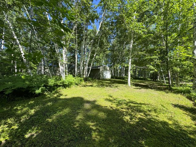 48894 386th Place, Palisade, MN 56469