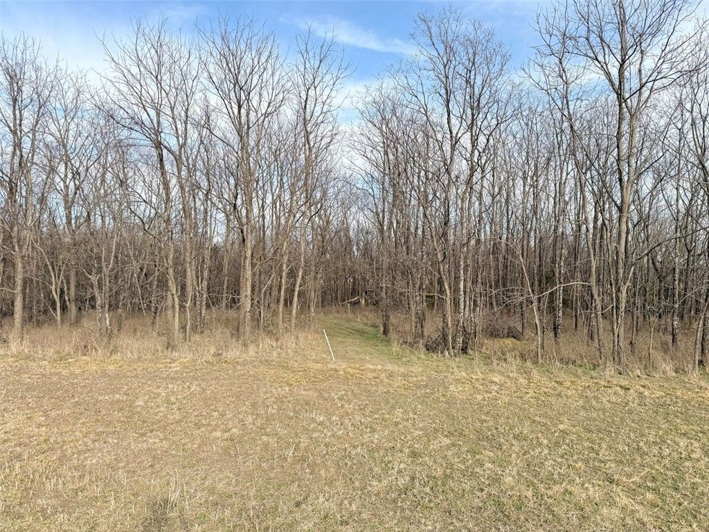 Lot 15 Chalybeate Drive, Sulphur Springs, AR 72768
