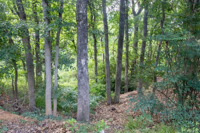 12008 SADDLEHORN Lane, Mansfield, TX 76063