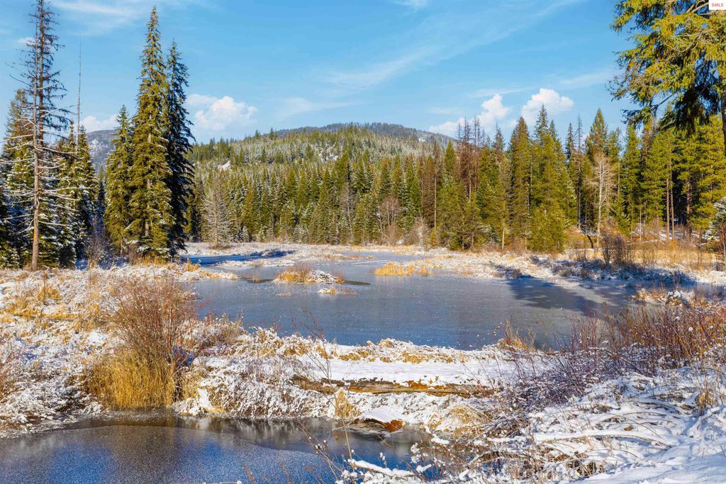 533739 US HWY 95 - 57 Acres, Bonners Ferry, ID 83805 photo 12