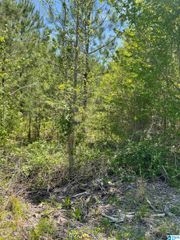 0 BERNEY STATION ROAD, Talladega, AL 35160