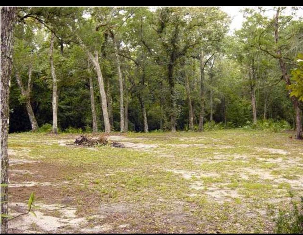 125 Sycamore Drive, Freeport, FL 32439