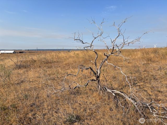 6440 Ellensburg Ranches Road, Ellensburg, WA 98926