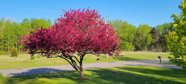 1821 Dorret Road, Eau Claire, WI 54703