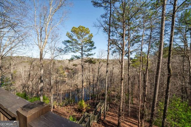 411 Gunite Circle, Ellijay, GA 30540
