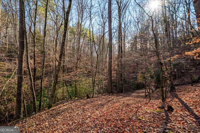 411 Gunite Circle, Ellijay, GA 30540