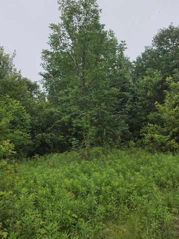 4719 Twp 115 Road, Mount Gilead, OH 43338